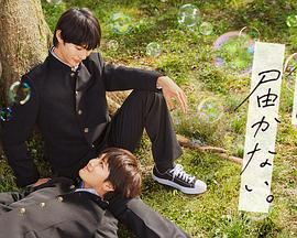 资阳关键词seo优化